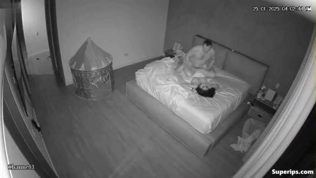 IPCAM – Busty wife gets fucked hard at night IPCAM – Busty wife gets fucked hard at night